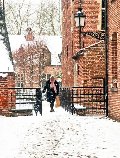 Altstadt von Leuven, Belgien im Winter — Stockfoto