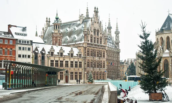 Starej biblioteki z leuven, belgium w zimie — Zdjęcie stockowe