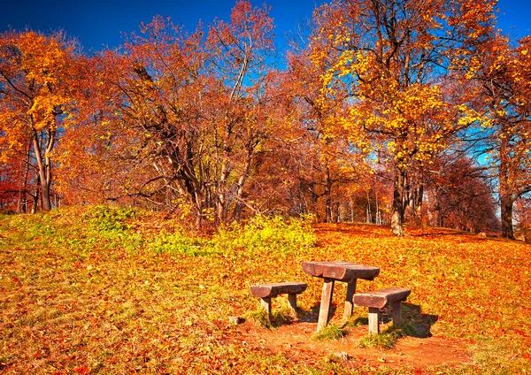 Pěkný podzimní scéna — Stock fotografie