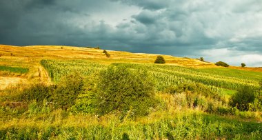 Panoramik dağ manzara manzara