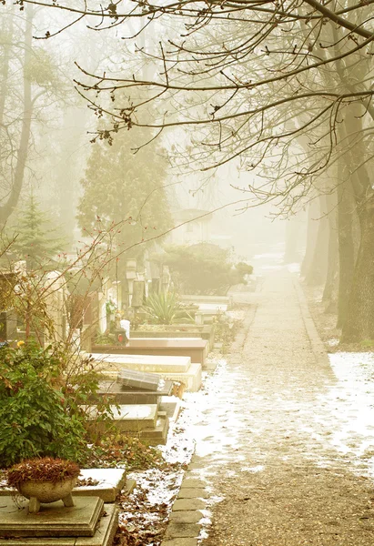 Cimitero nebbioso — Foto Stock