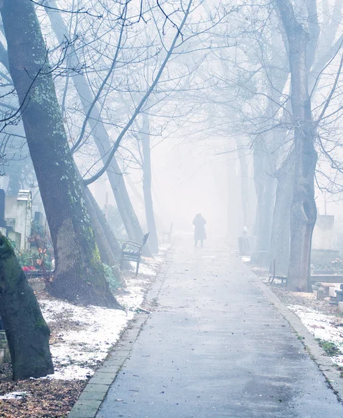 Foggy cemetery — Stock Photo, Image