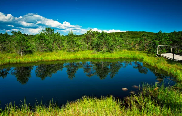 Zomer landschap van een mooie meer — Stockfoto