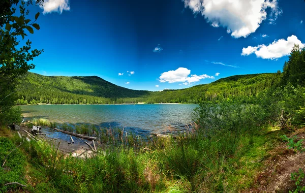 Zomer landschap van een mooie meer — Stockfoto