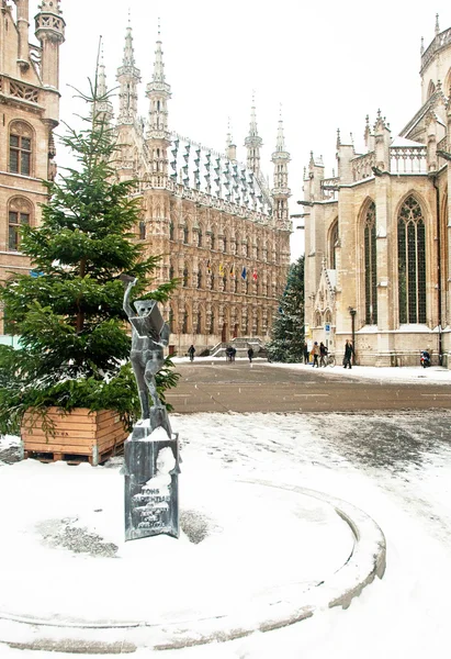 Oude bibliotheek van leuven, België in de winter — Stockfoto