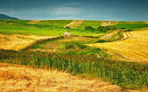 Panoramische berg landschap scenic — Stockfoto