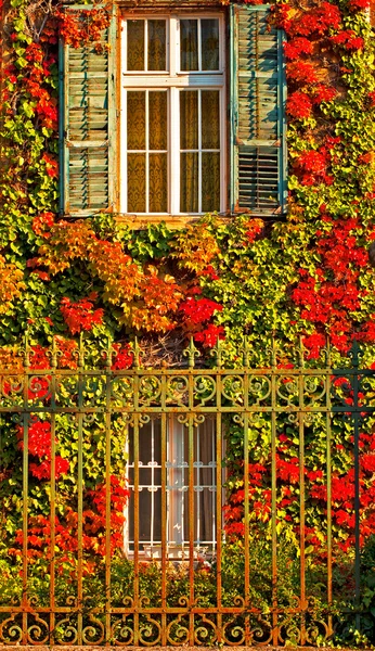 Windows at autumn — Stock Photo, Image