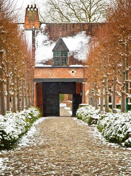 Cidade velha de Leuven, Bélgica no inverno — Fotografia de Stock