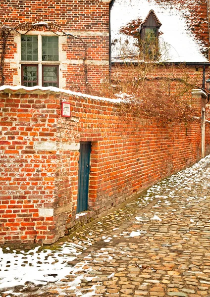 Cidade velha de Leuven, Bélgica no inverno — Fotografia de Stock