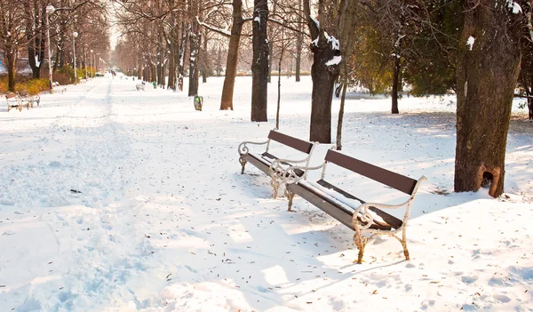 Parco in inverno — Foto Stock