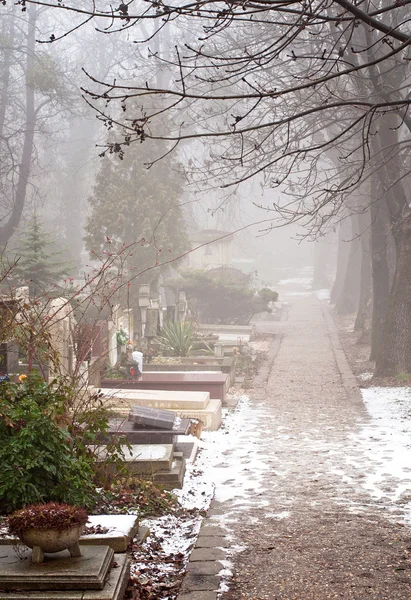 Sisli mezarlığı — Stok fotoğraf