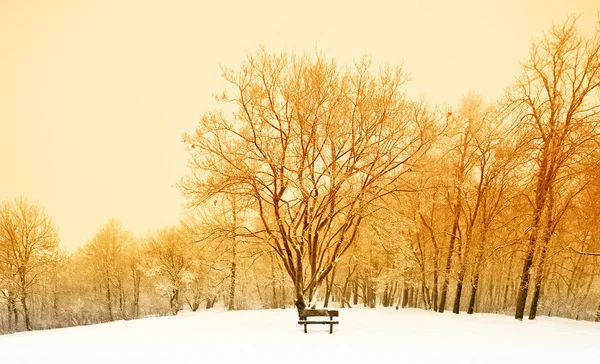 Nice winter scene — Stock Photo, Image