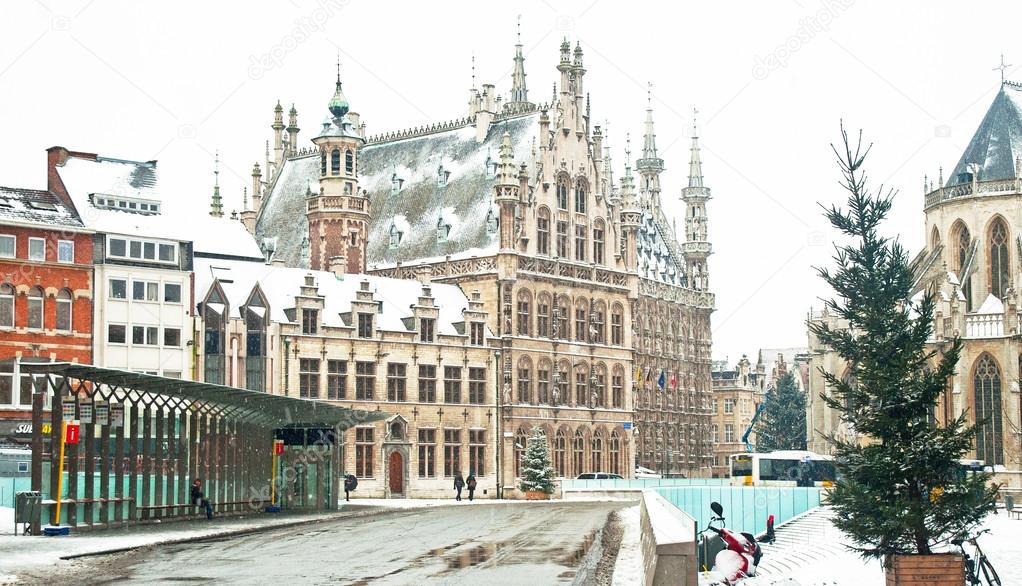 Old library of Leuven, Belgium in winter