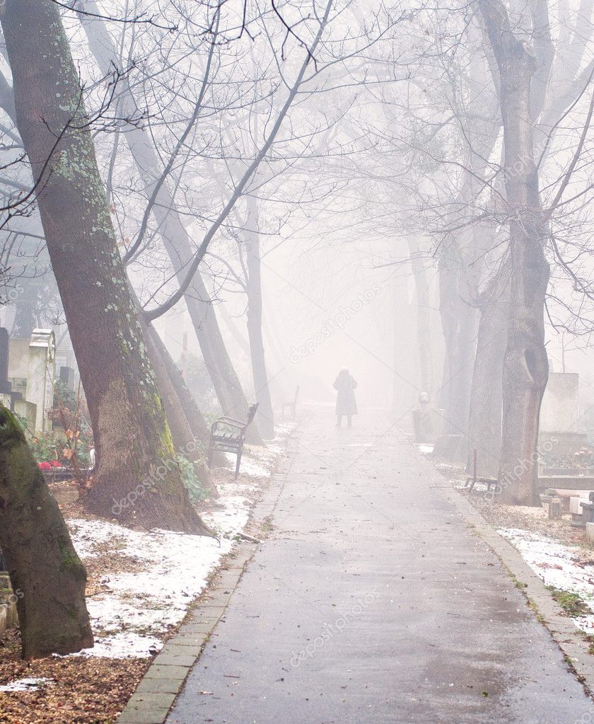 Foggy cemetery