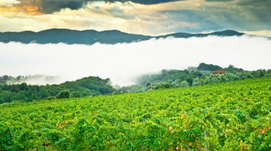 Panoramik dağ manzara manzara