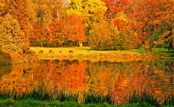 Pěkný podzimní scéna v parku — Stock fotografie