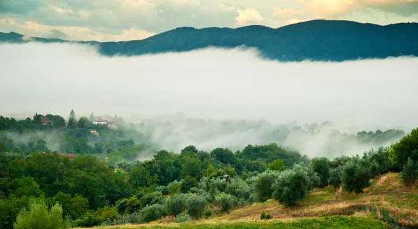 Panoramische berg landschap scenic — Stockfoto