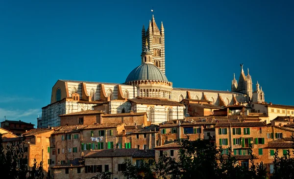 Panorama siena — Zdjęcie stockowe