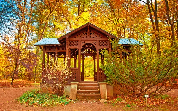 Bonita casa na floresta no outono — Fotografia de Stock