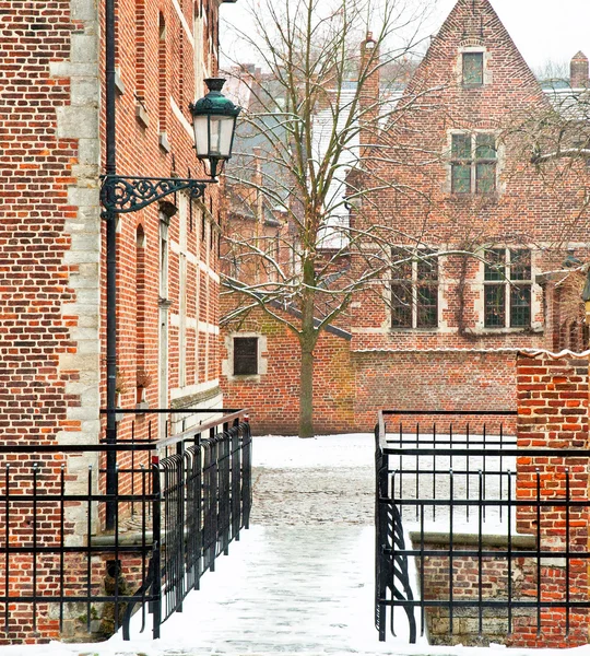 Gamle by Leuven, Belgien om vinteren - Stock-foto