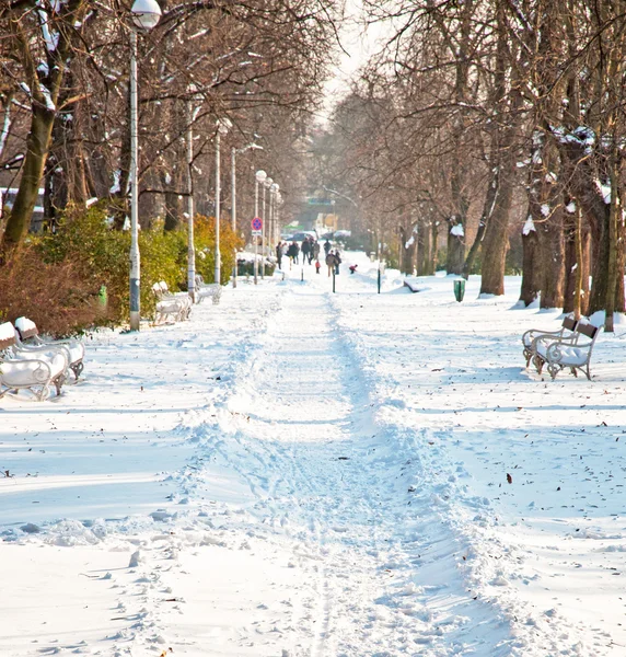 Kışın Park — Stok fotoğraf