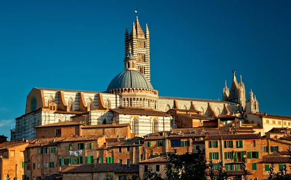 Panorama of Siena — Stock Photo, Image