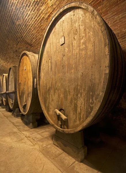 Wine cellar — Stock Photo, Image