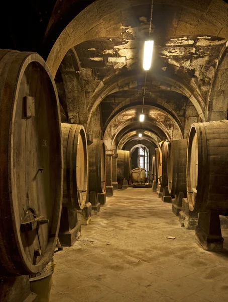 Wine cellar — Stock Photo, Image