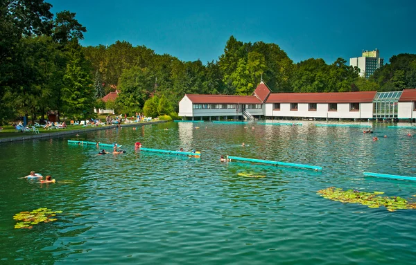 The famous Heviz thermal lake in Hungary — Stock Photo, Image