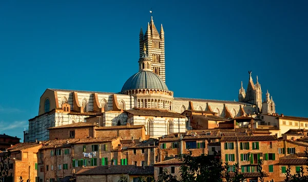 Panorama of Siena — Stock Photo, Image