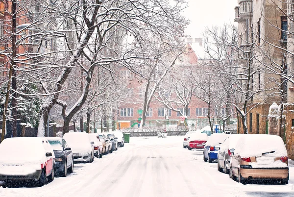 Park zimą — Zdjęcie stockowe