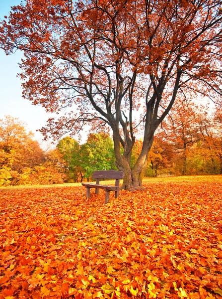 Mooie herfst scène — Stockfoto