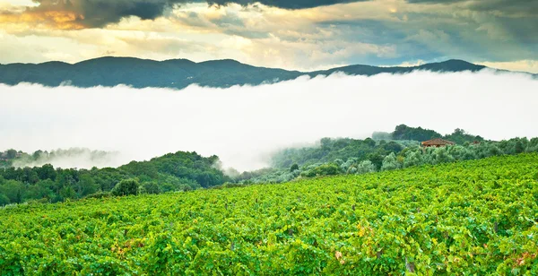 Panoramic mountain landscape scenic — Stock Photo, Image