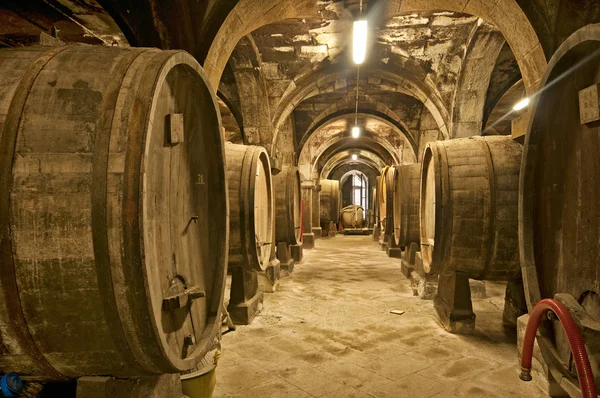 Wine cellar — Stock Photo, Image