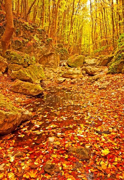 Schöne herbstliche Szene im Park — Stockfoto