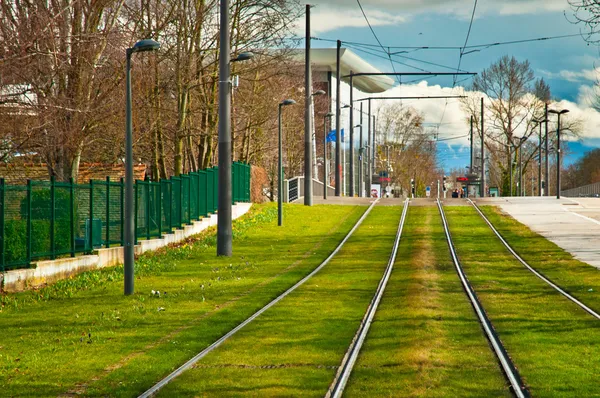 Spårvagn skenor på en grön gräsmatta — Stockfoto