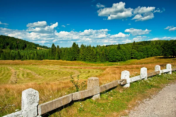 Montagna con cielo blu — Foto Stock