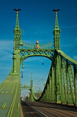 Budapeşte 'de özgürlük köprüsü.