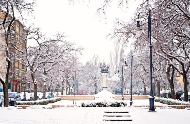 Kışın Park