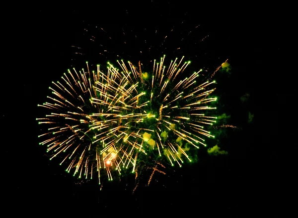 Fantásticos fuegos artificiales — Foto de Stock