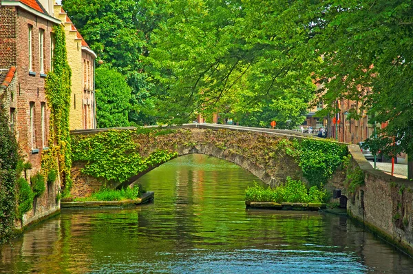 Bron i brugge — Stockfoto