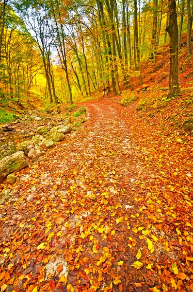 Bella strada autunnale — Foto Stock