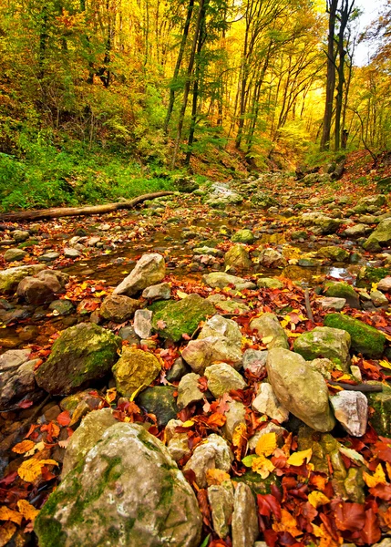 Schöne herbstliche Szene — Stockfoto