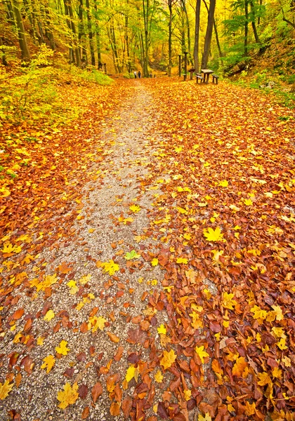 Bella strada autunnale — Foto Stock