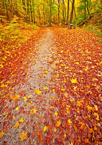 Estrada de outono agradável — Fotografia de Stock