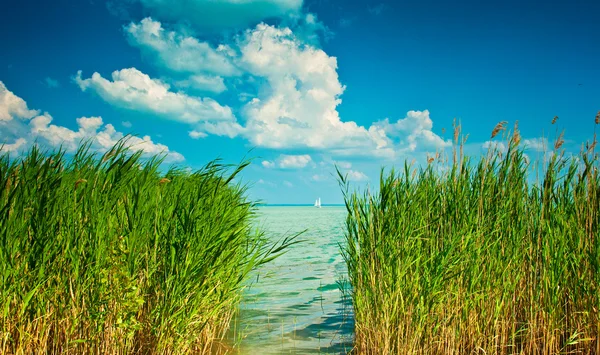 Lago Balaton — Fotografia de Stock