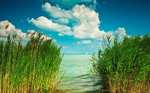 Jezero balaton — Stock fotografie