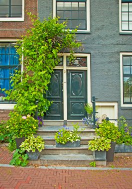 Amsterdam Sokakları