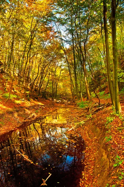 Schöne herbstliche Szene — Stockfoto