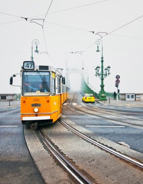 Budapeşte 'deki meşhur Özgürlük Köprüsü.
